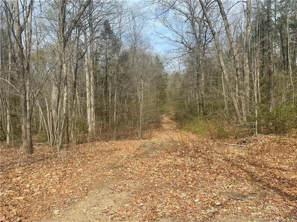 Old Mill Road, Wilton, CT