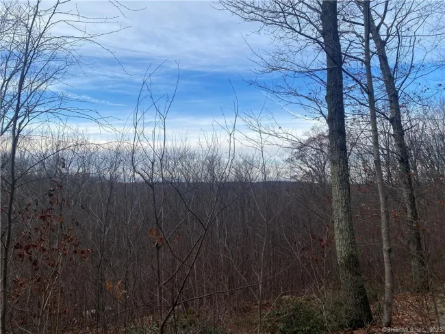 52 Chestnut Hill Road, Wolcott, CT