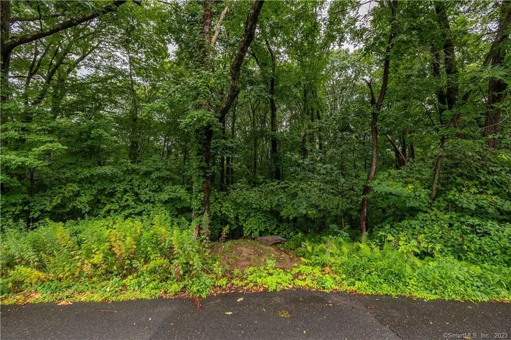 55 East Washington Road, Plymouth, CT
