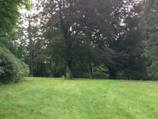 136L Carter Street, New Canaan, CT