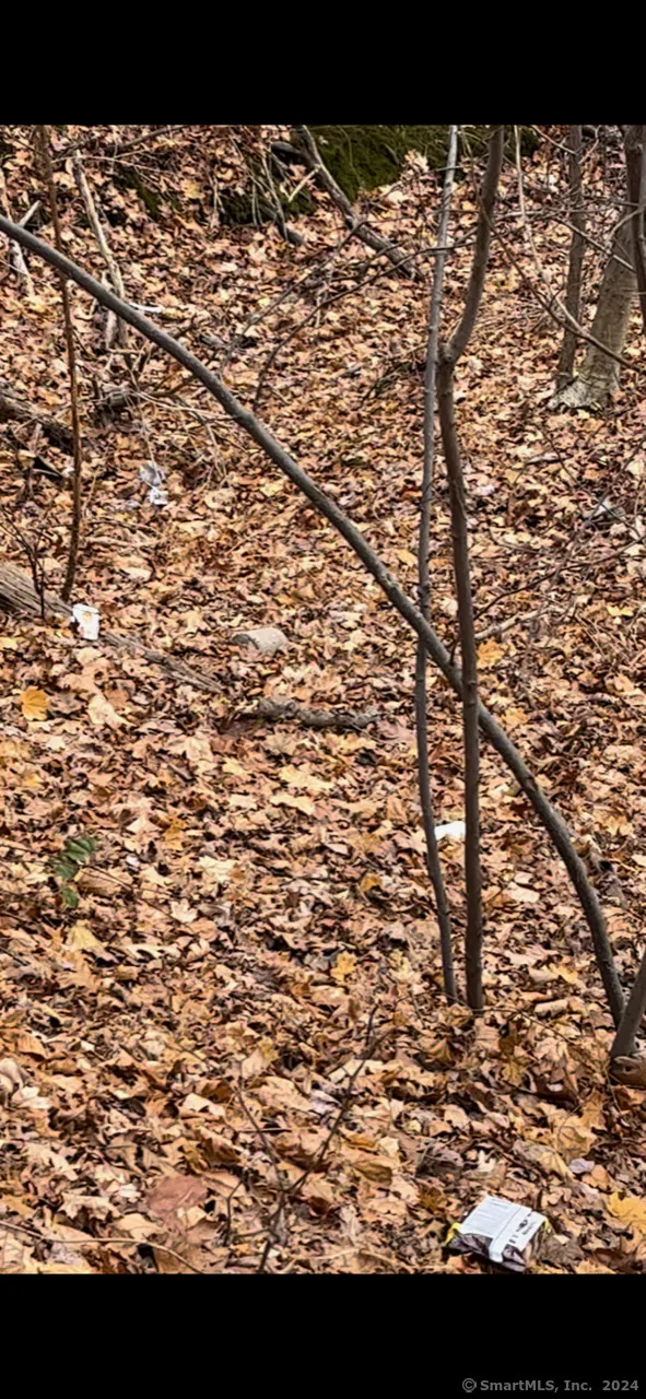 Hillside Avenue, East Hartford, CT