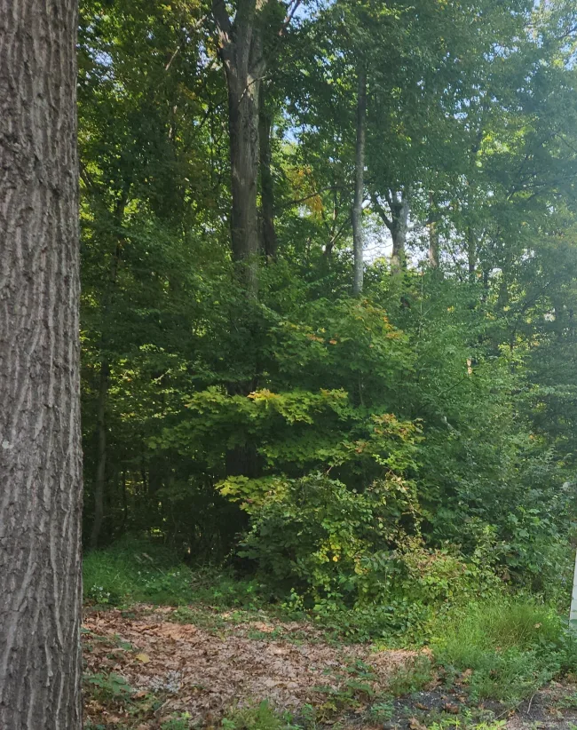 Waterbury Road, Cheshire, CT