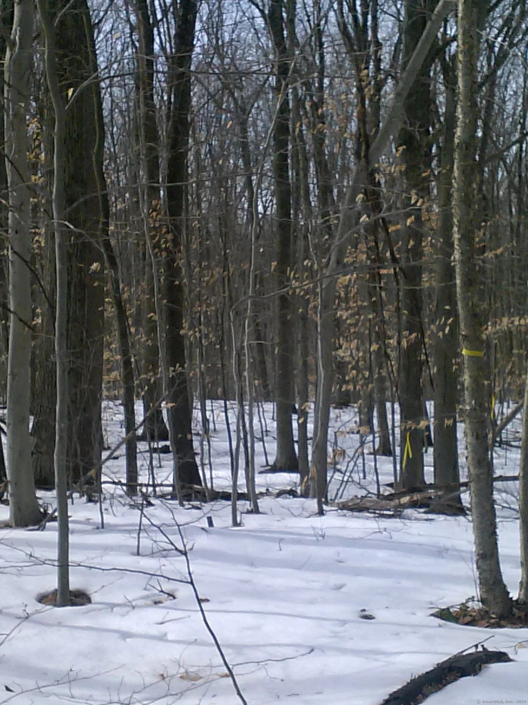 Suffield Street, Suffield, CT
