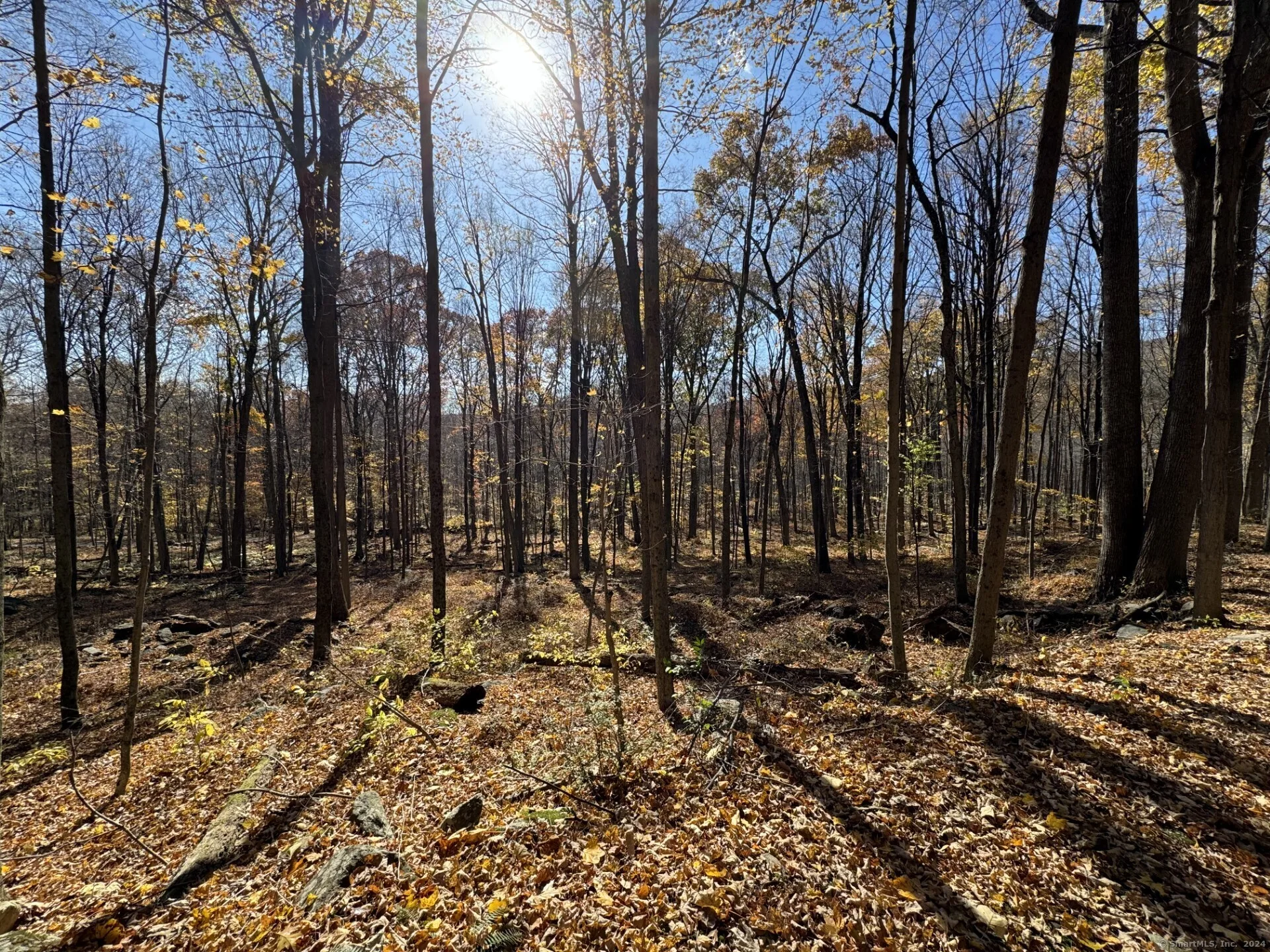 00 Upper Kent Hollow Road, Kent, CT