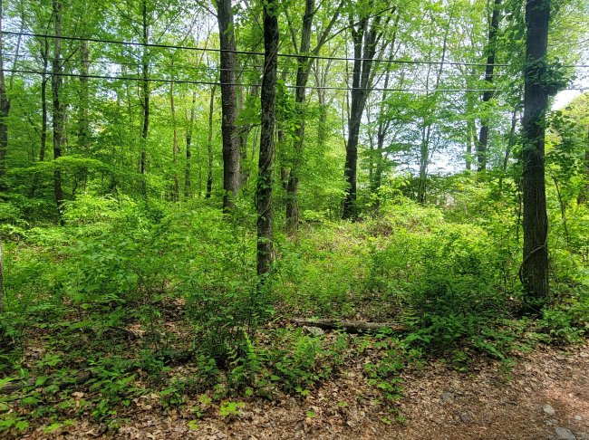 33A Laurel Point Drive, Montville, CT