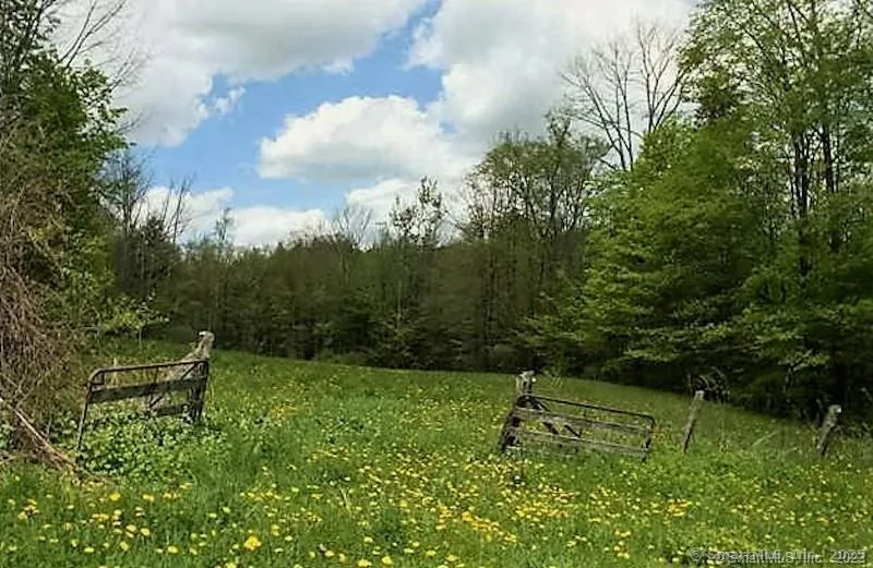 649 Litchfield Road, Norfolk, CT
