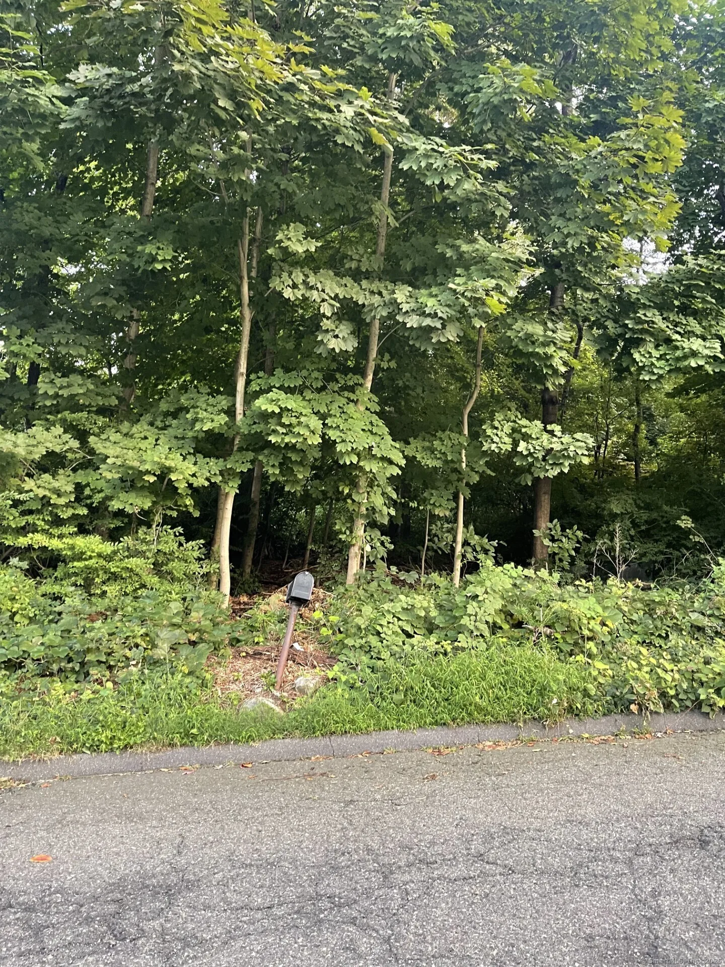 22 Frances Drive, Seymour, CT