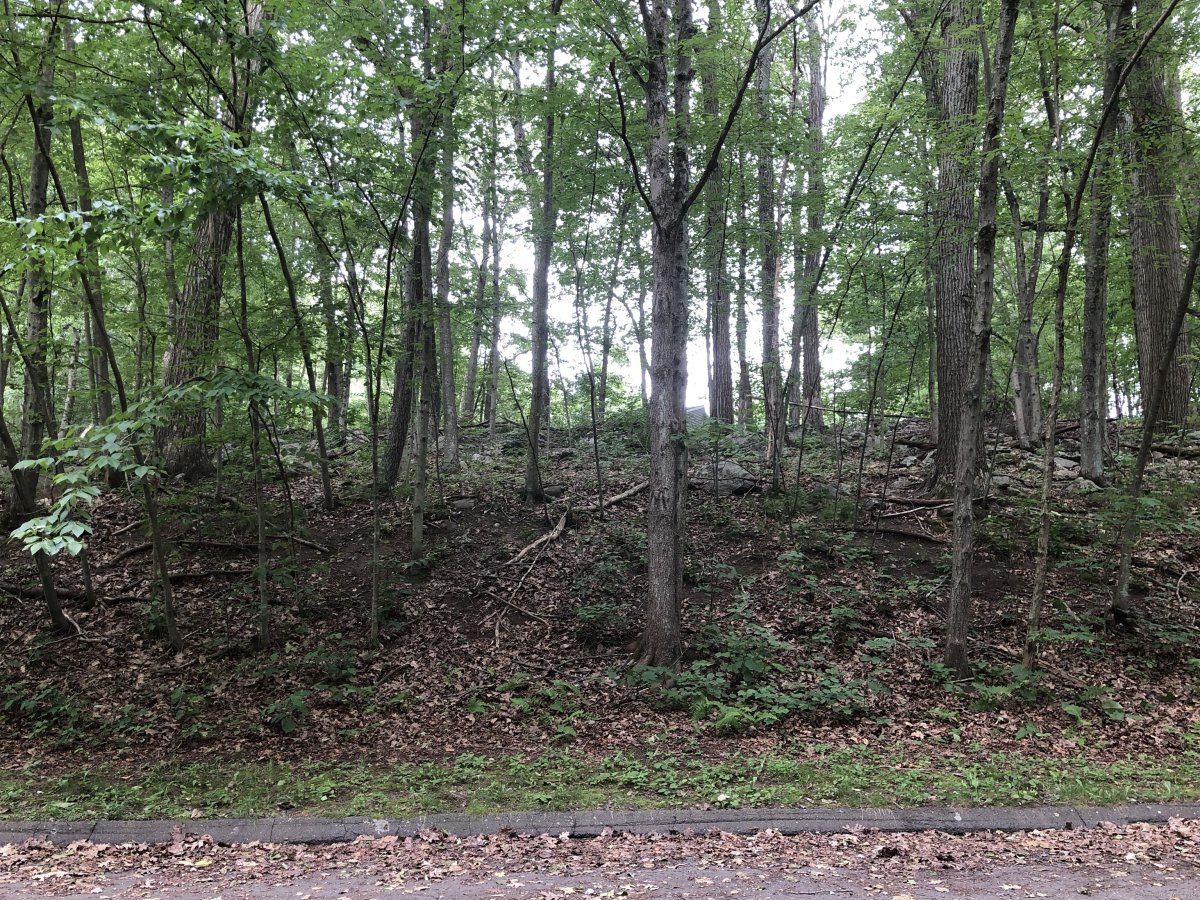 21 Coral Drive, Plymouth, CT