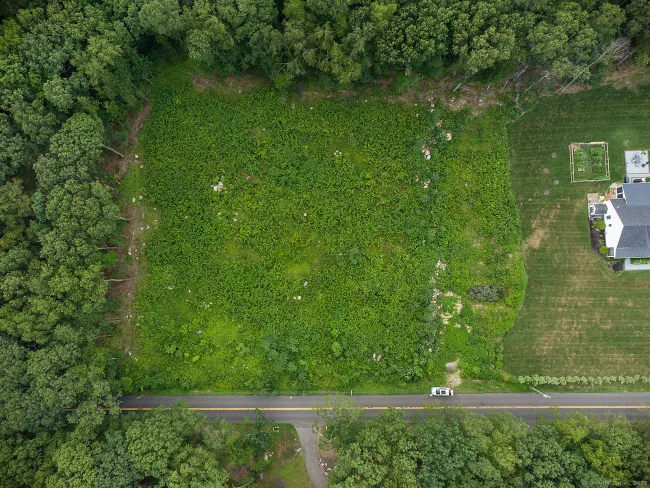 54 Northrop Road, Woodbridge, CT