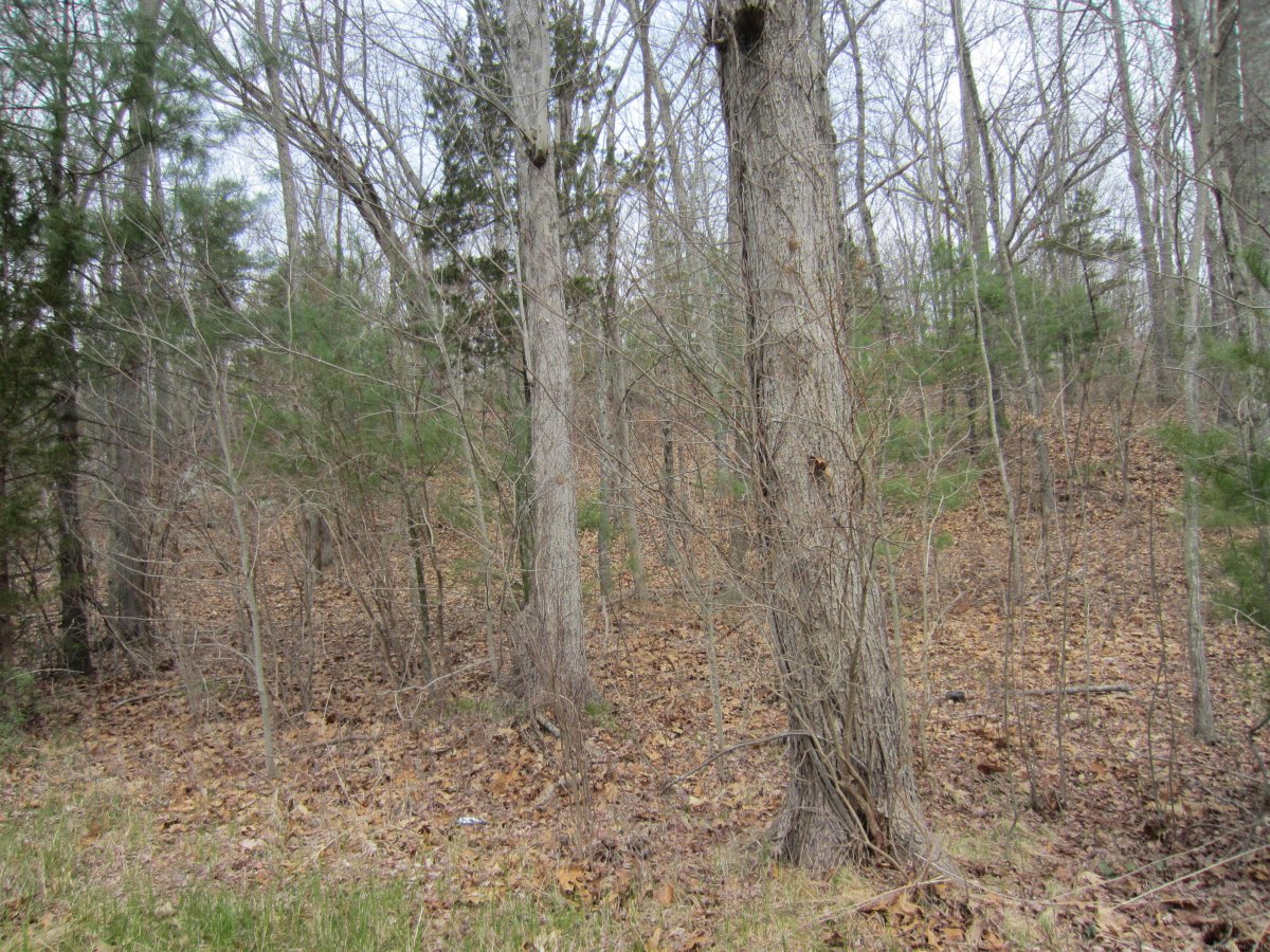 43 fallbrook Road, Killingly, CT