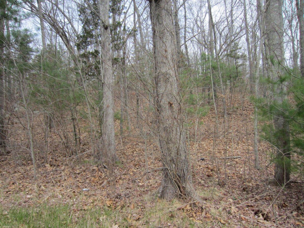 70 cutler Road, Killingly, CT