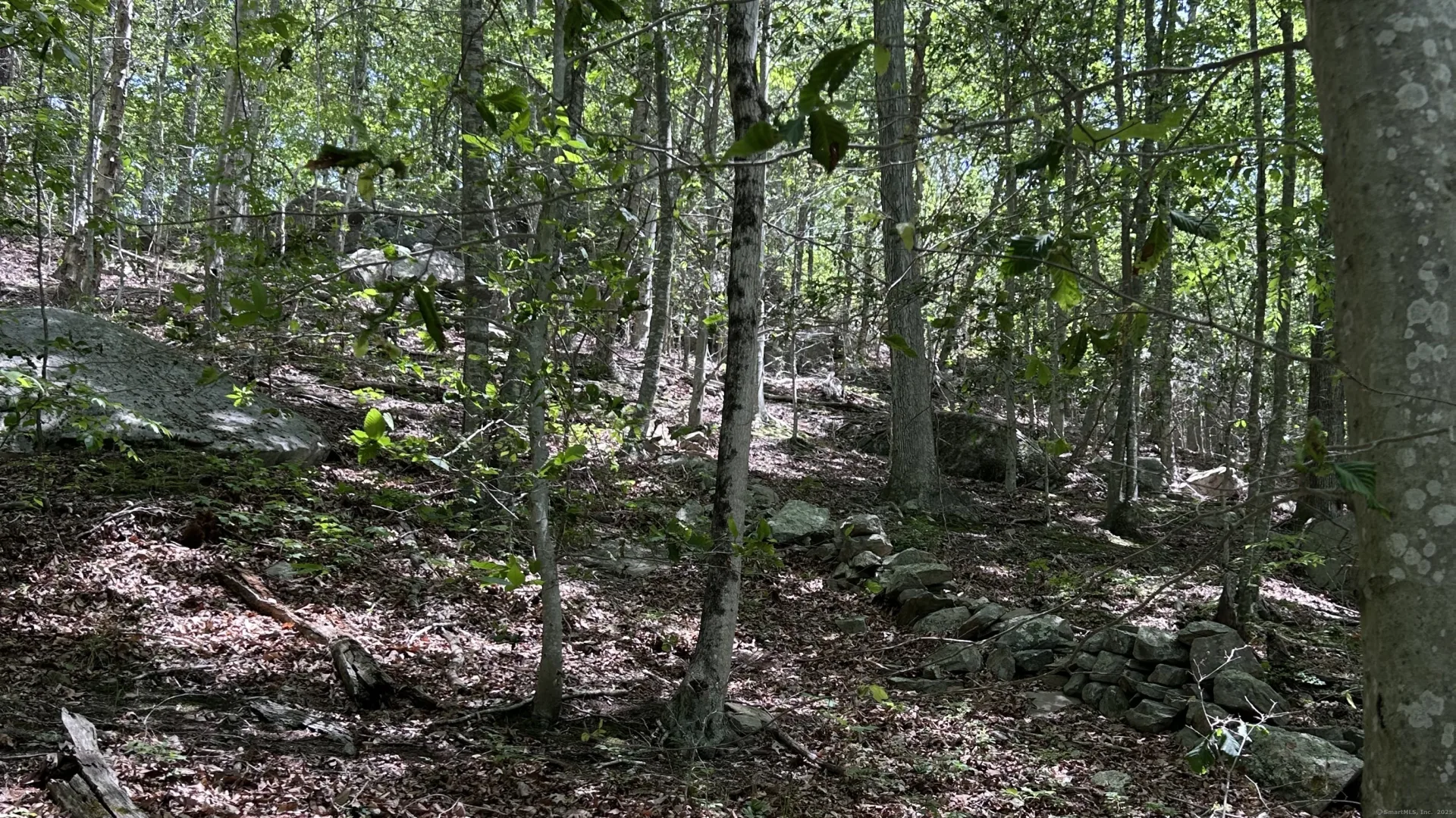 Norwich Salem Road, East Haddam, CT
