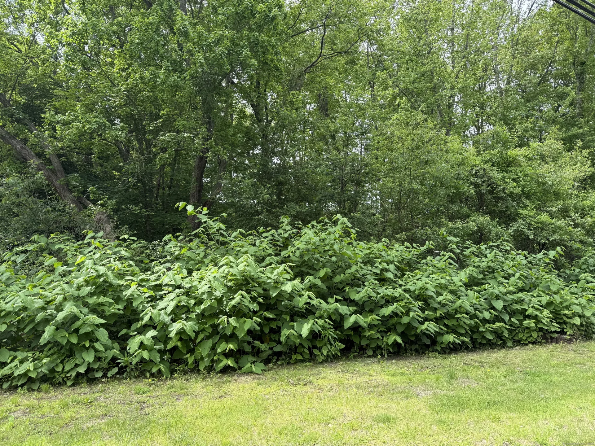 2 Sandra Avenue, Plymouth, CT