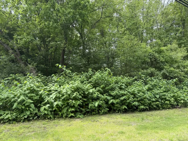 2 Sandra Avenue, Plymouth, CT