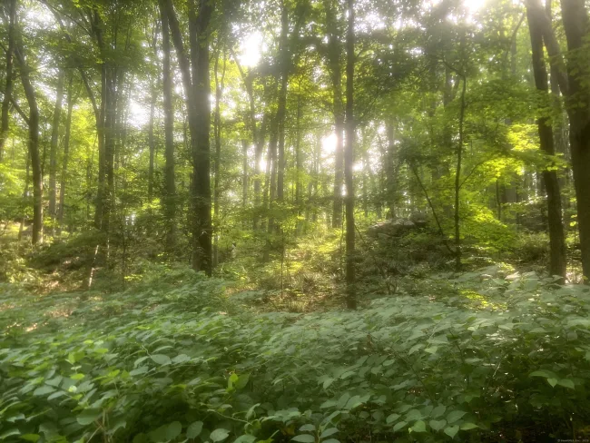 6716 Main Street, Trumbull, CT