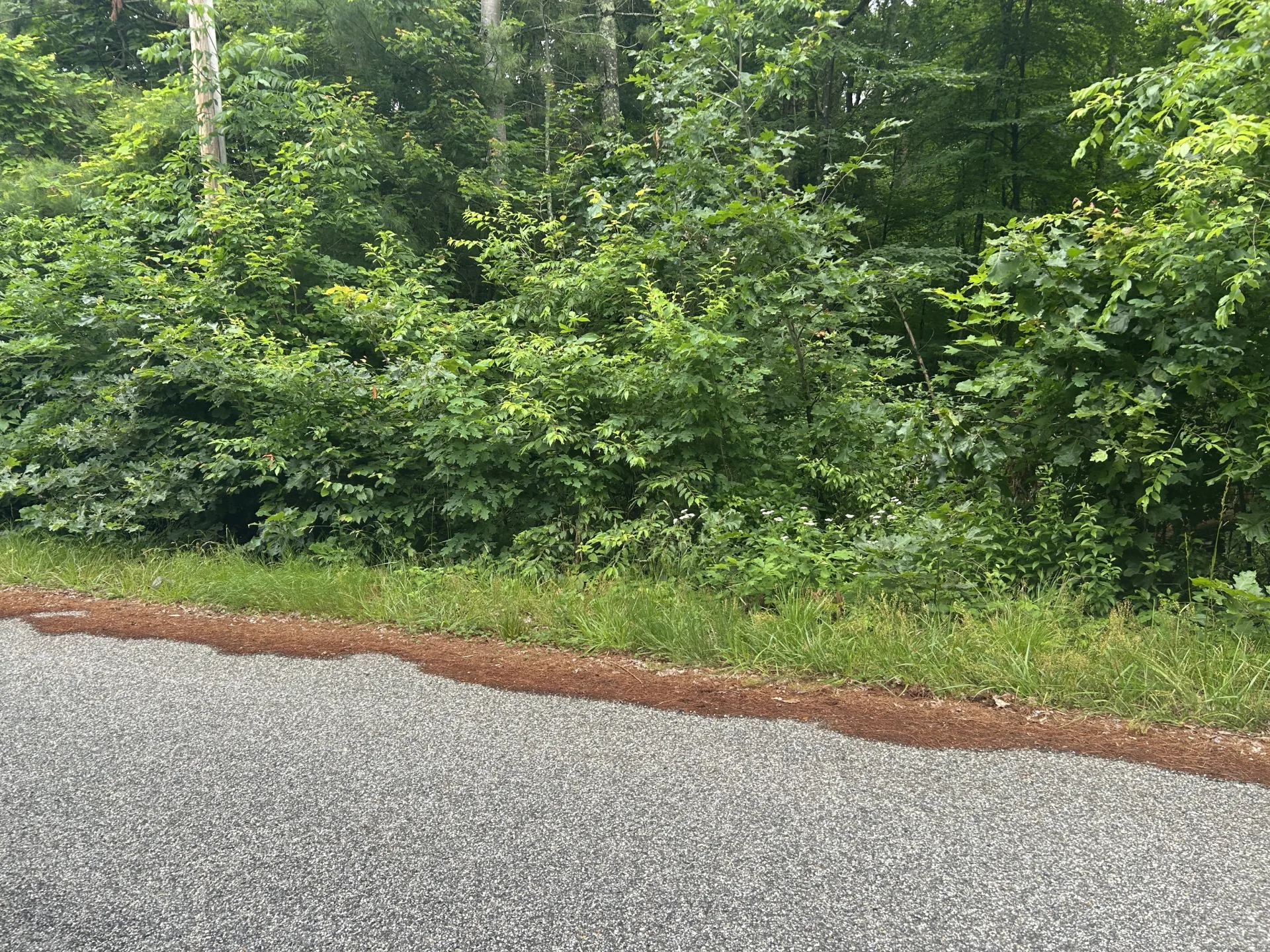 Chapman Road, Marlborough, CT