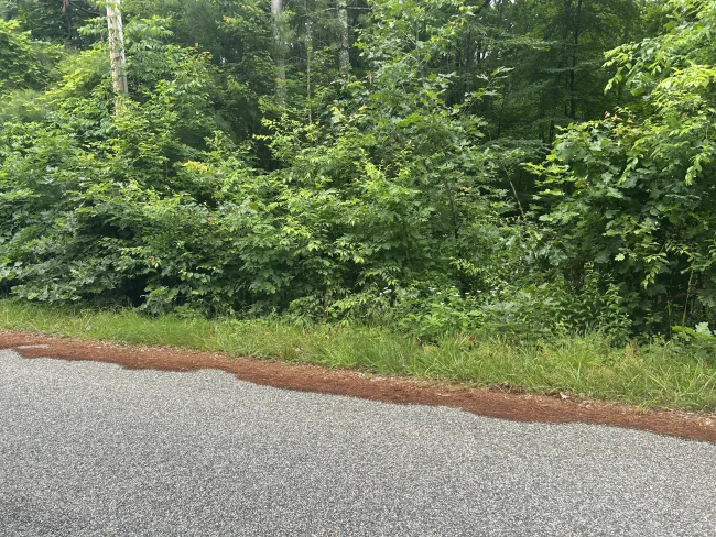 Chapman Road, Marlborough, CT