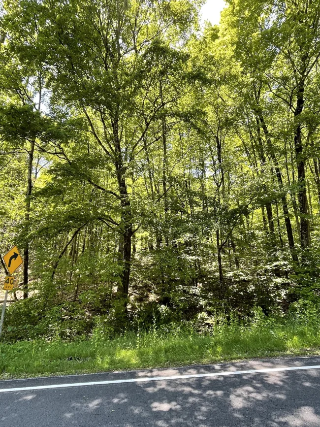 710 Smithfield Road, Millerton, CT