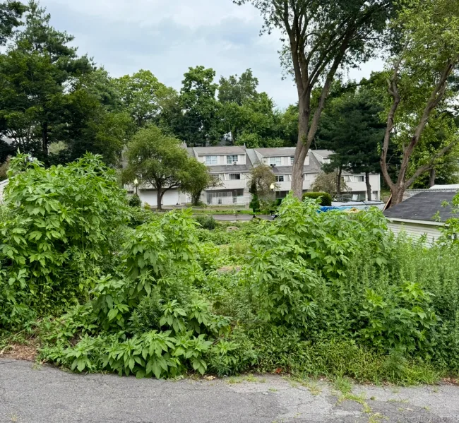 28 Wilkins Avenue, Bridgeport, CT