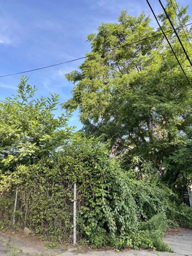 90 Lee Avenue, Bridgeport, CT