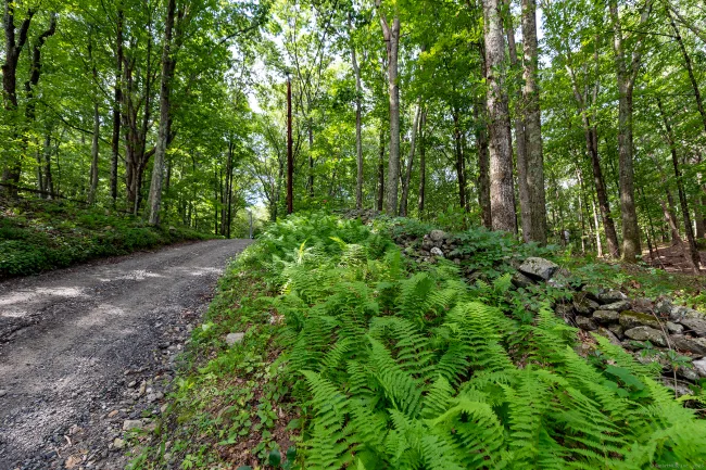 31 Holmes Road, Roxbury, CT