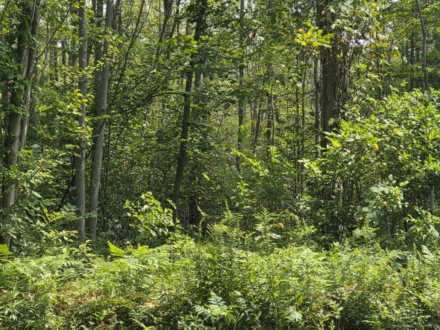 1220 Blue Hills Avenue, Bloomfield, CT