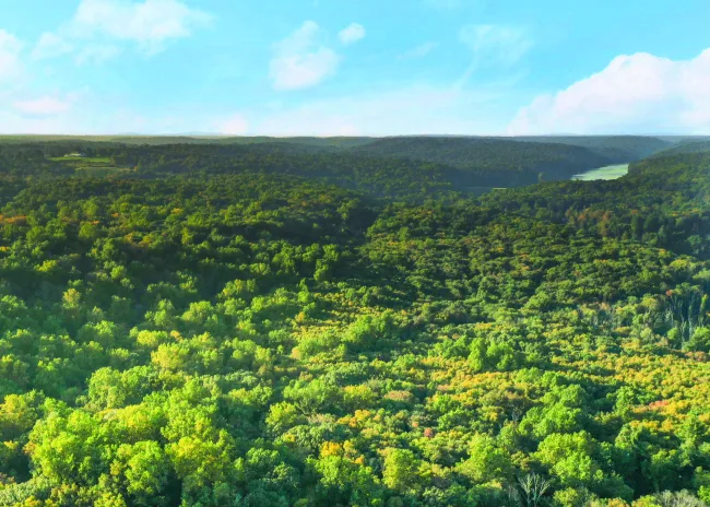 June Road #LOT 1, Stamford, CT