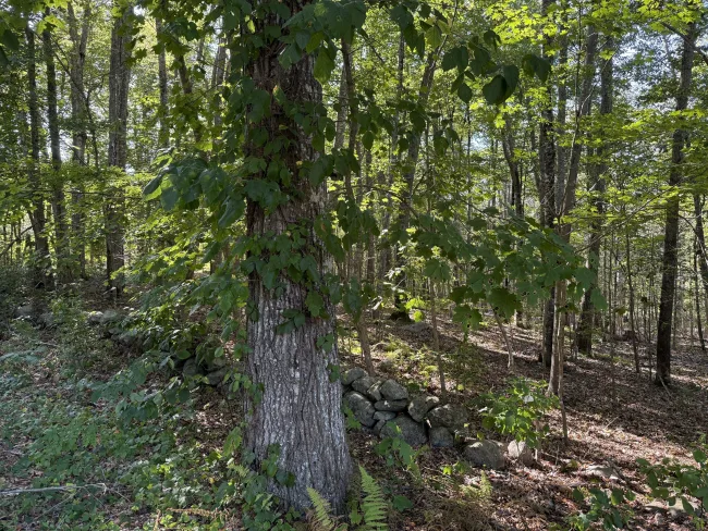 301 Montauk Avenue, Stonington, CT