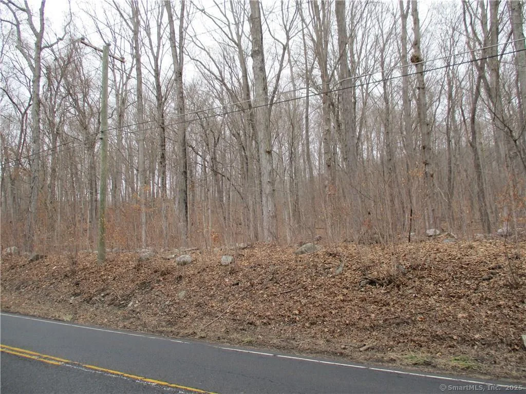 Boston Turnpike, Coventry, CT