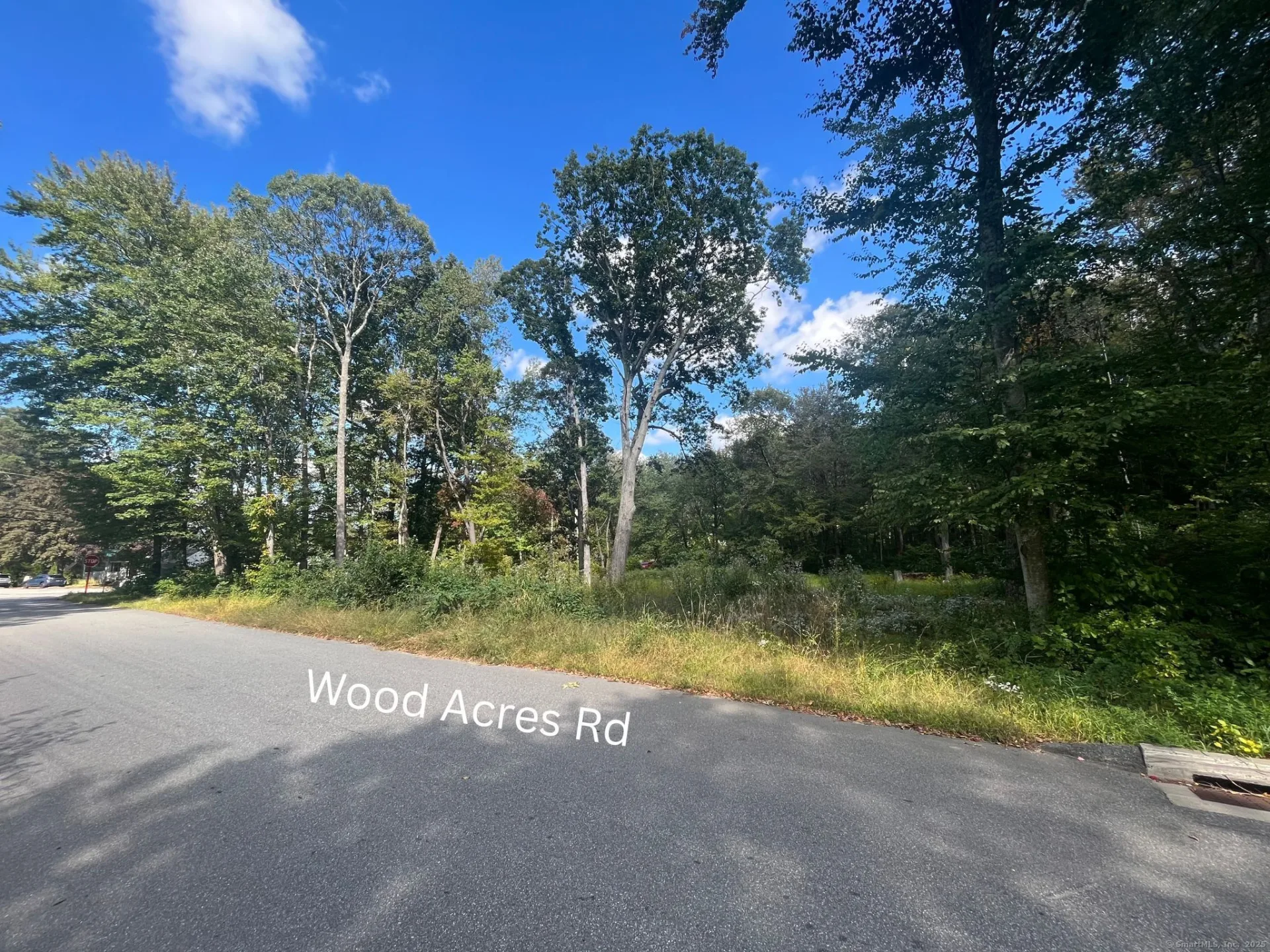 Deepwood Drive, Hebron, CT