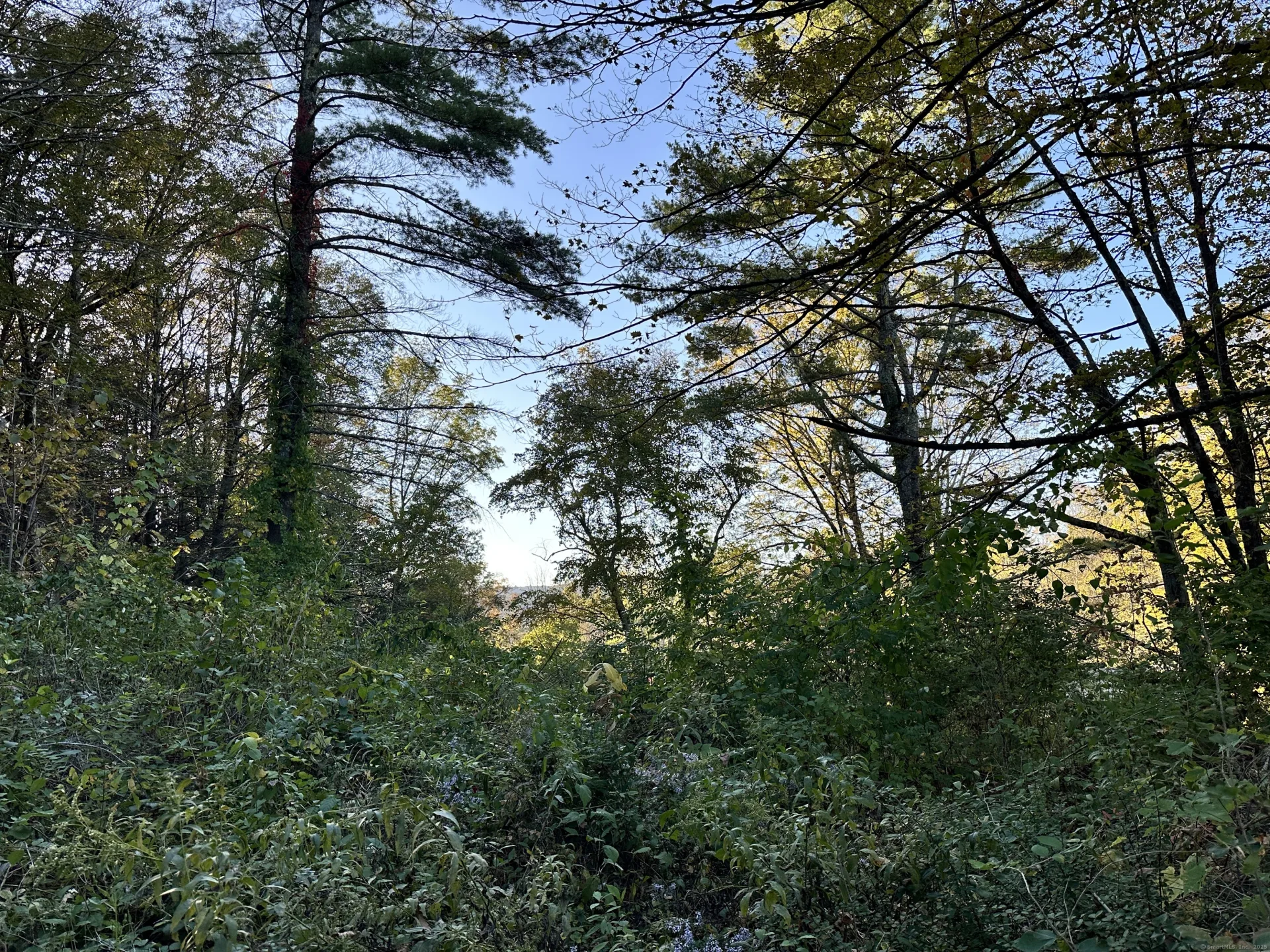 5 Prospect Mountain Road, Salisbury, CT