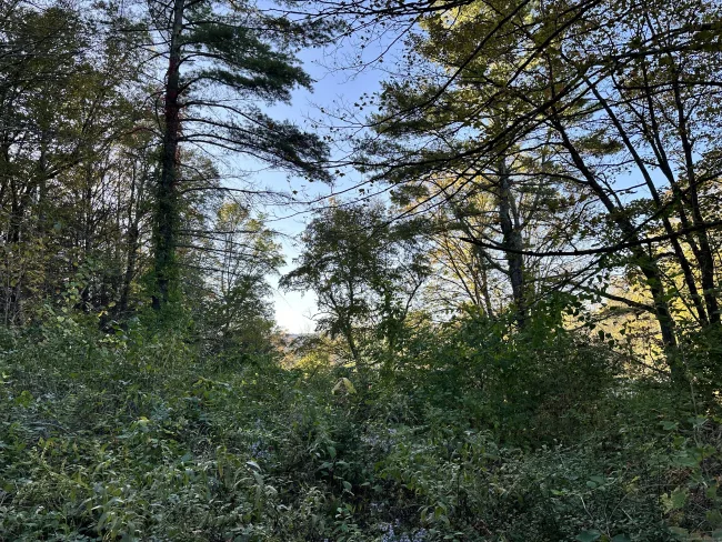 5 Prospect Mountain Road