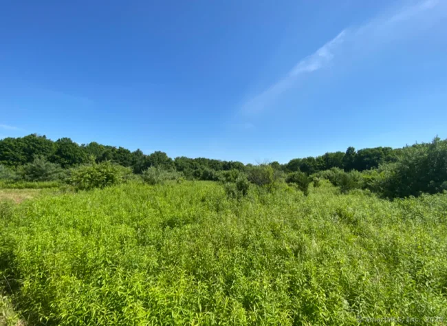 00 Zola Road, Columbia, CT