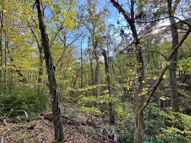 69 Moosehorn Road, Roxbury, CT