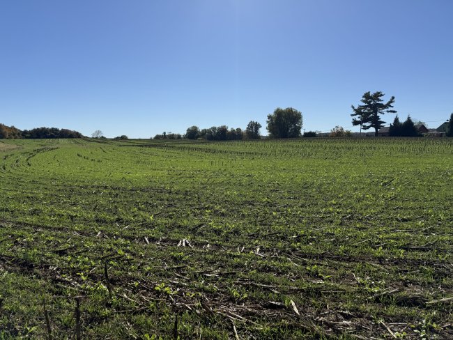 20 Holton Road, Franklin, CT