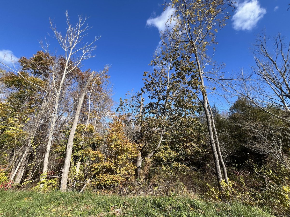 160 W. West Hill Road, Barkhamsted, CT