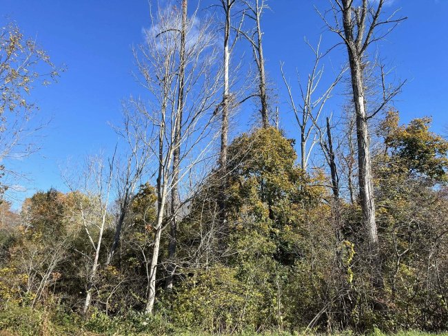 200 W. West Hill Rd Road, Barkhamsted, CT