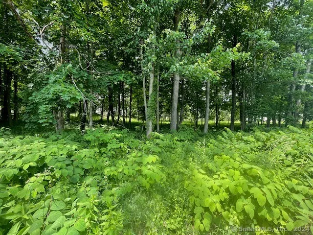 369 Turnpike Road, Somers, CT