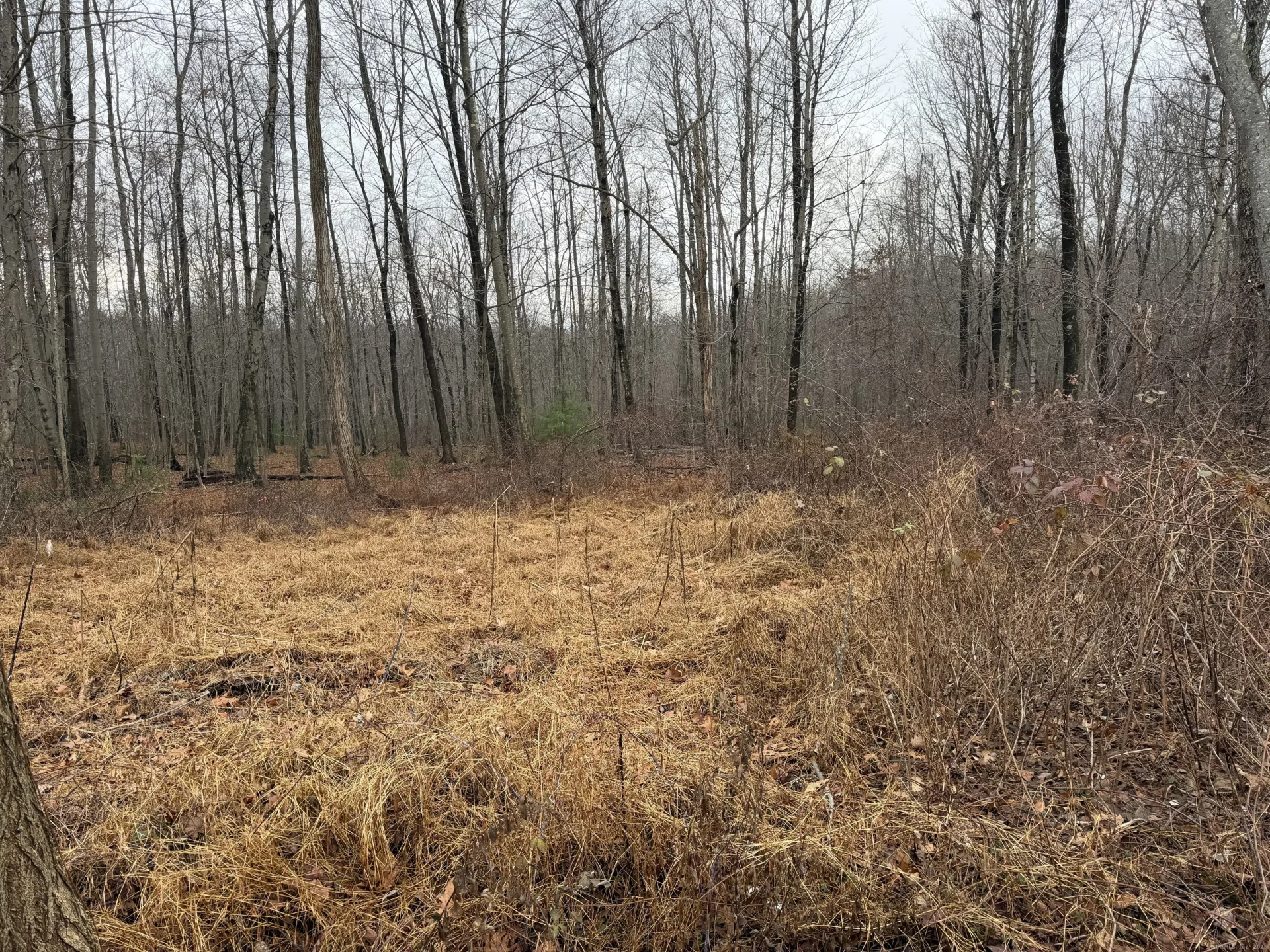 312 Merrow Road, Tolland, CT