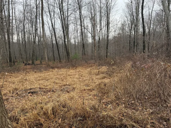 312 Merrow Road, Tolland, CT