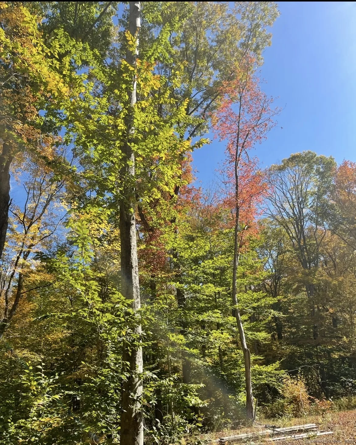 Brook Road #lot 4, Hampton, CT