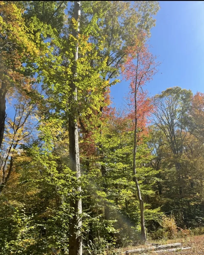 Brook Road #lot 4, Hampton, CT