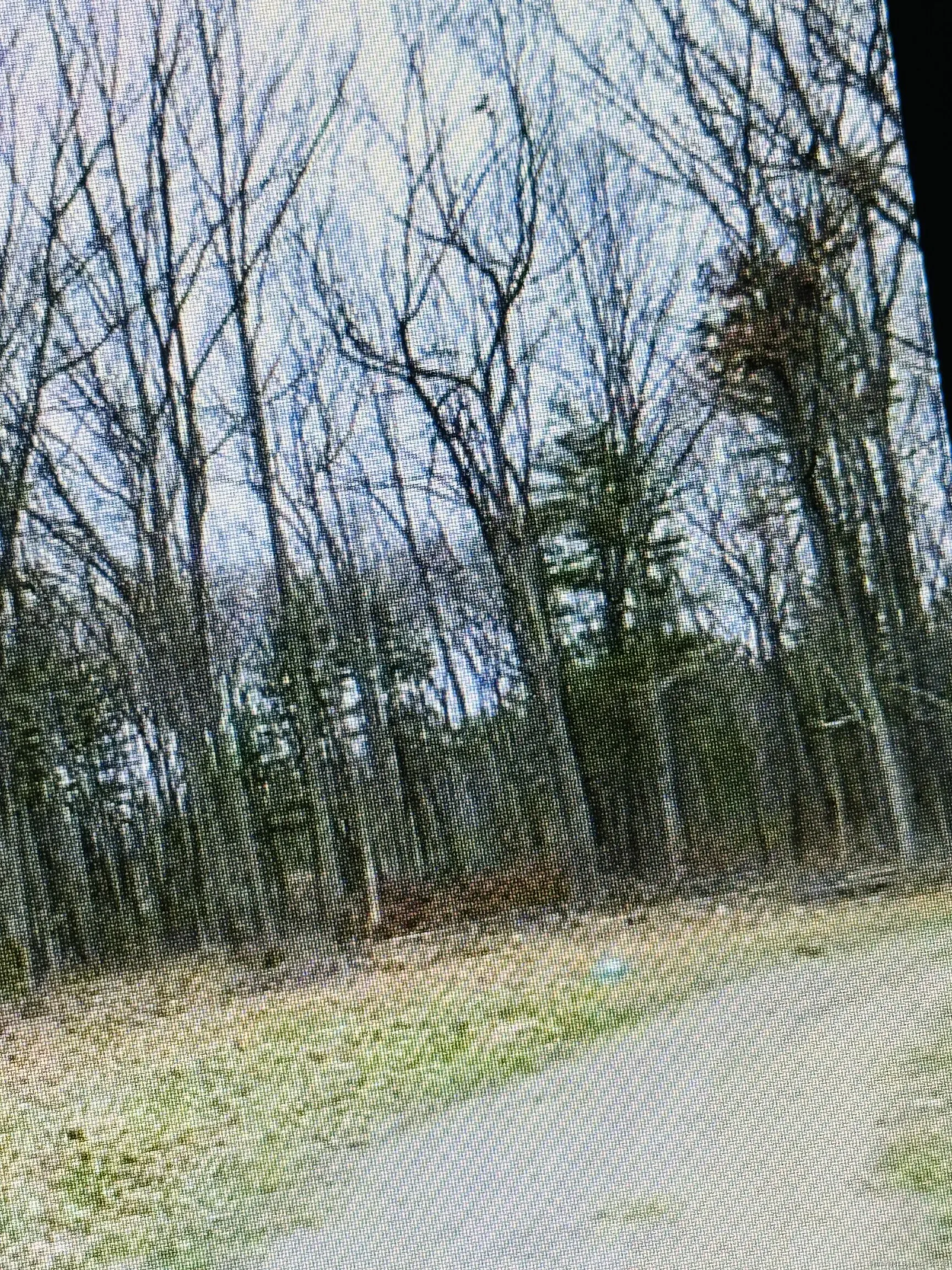 25 Matthew Lane, Windsor, CT