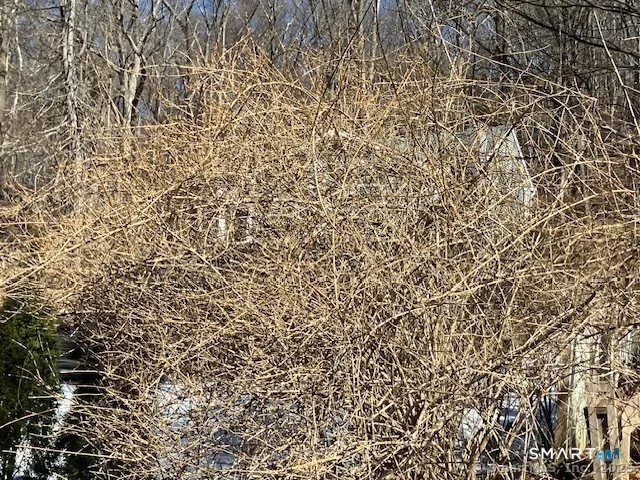 1 Parsons Drive, Waterbury, CT