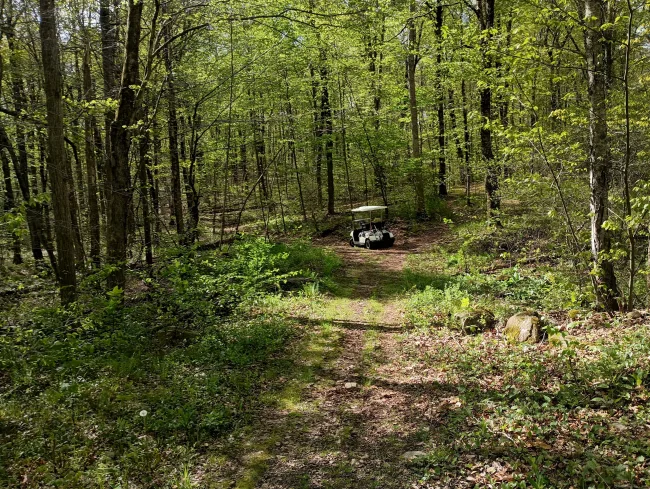 Litchfield Road, Watertown, CT
