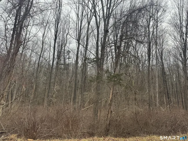 Bell Street, Middletown, CT