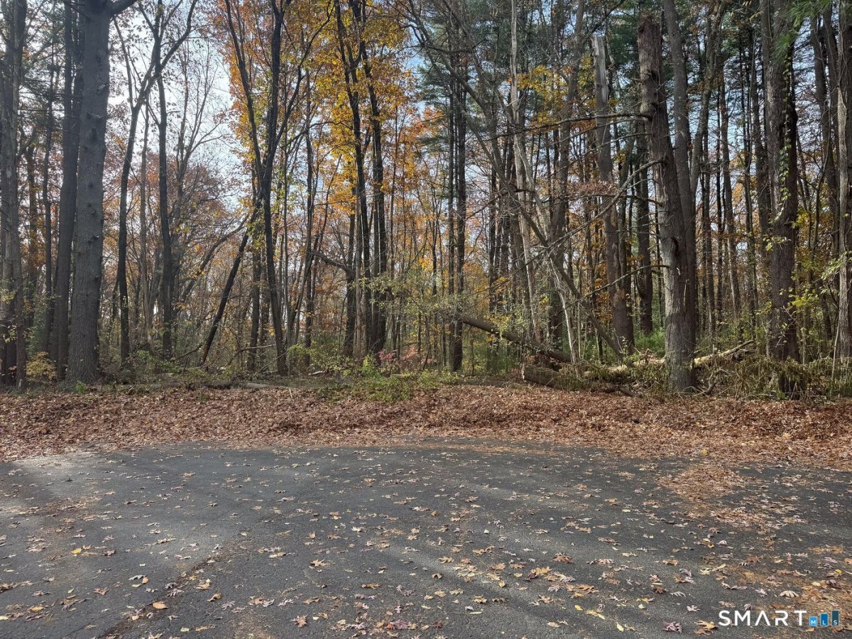 Walnut and Larch Drive, Windsor, CT