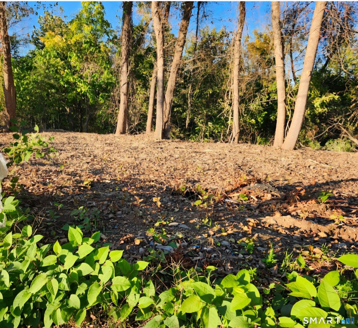 171 Otrobando Avenue, Norwich, CT