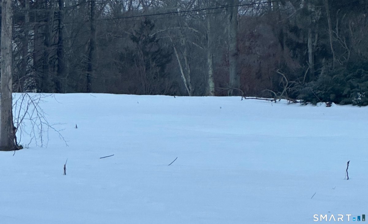 Lot 2 Aldens Crossing, East Hampton, CT