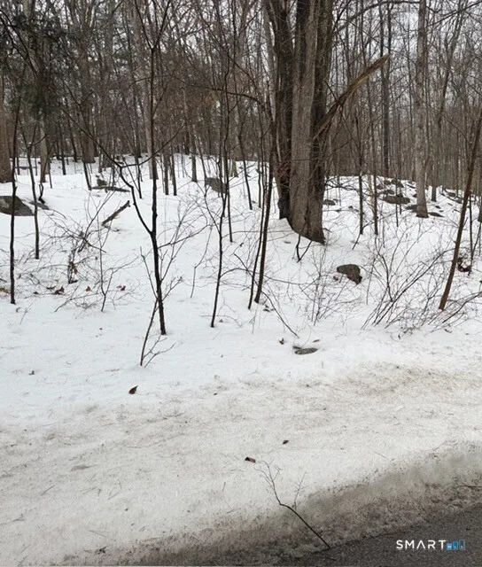 3 Rowledge Pond Road, Monroe, CT